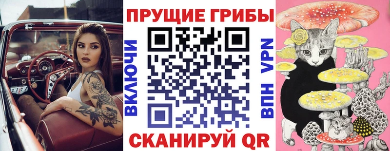 Псилоцибиновые грибы GOLDEN TEACHER Кувшиново