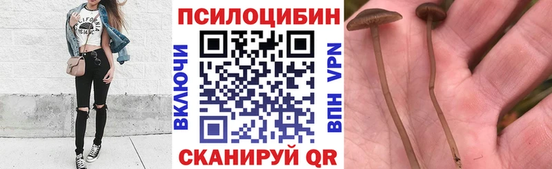 Галлюциногенные грибы мицелий Кувшиново